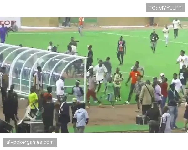 “现场：球迷闯入伊蒂哈德球场导致比赛短暂中断”